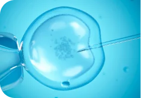 in-vitro