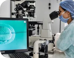 in-vitro