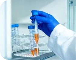 in-vitro