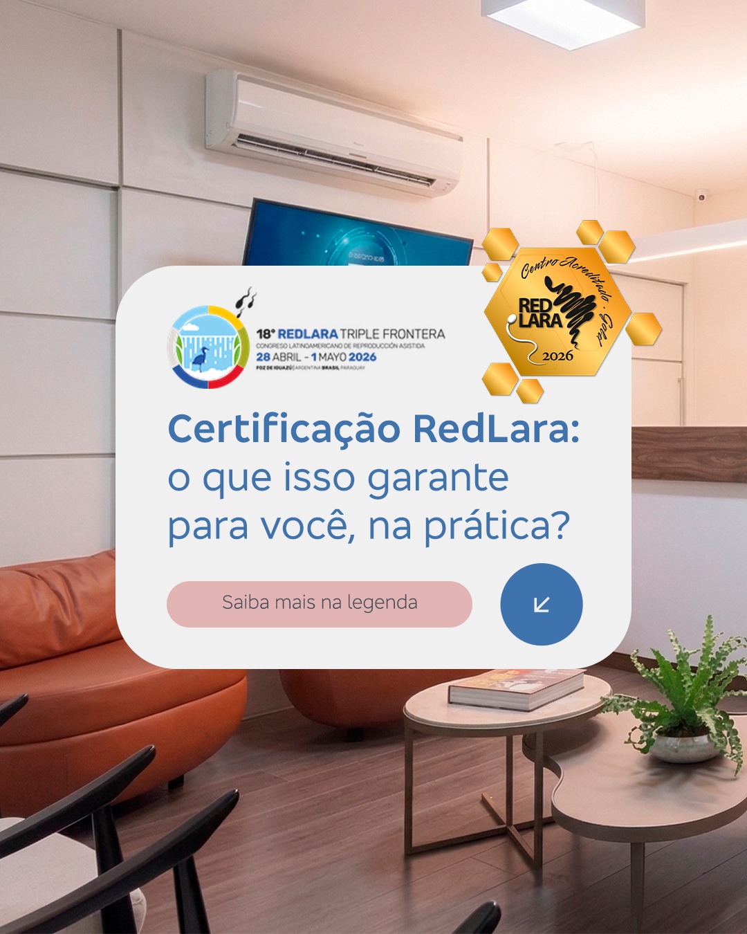 Publicação do Instagram da Humana Medicina Reprodutiva