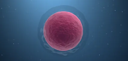 Fertilização in Vitro